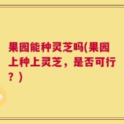 果园能种灵芝吗(果园上种上灵芝，是否可行？)