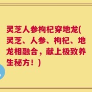 灵芝人参枸杞穿地龙(灵芝、人参、枸杞、地龙相融合，献上极致养生秘方！)