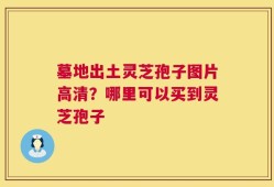 墓地出土灵芝孢子图片高清？哪里可以买到灵芝孢子