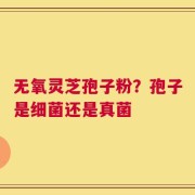 无氧灵芝孢子粉？孢子是细菌还是真菌