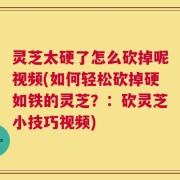 灵芝太硬了怎么砍掉呢视频(如何轻松砍掉硬如铁的灵芝？：砍灵芝小技巧视频)