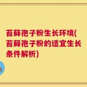 苔藓孢子粉生长环境(苔藓孢子粉的适宜生长条件解析)
