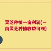 灵芝种植一亩利润(一亩灵芝种植收益可观)