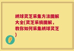 绣球灵芝采集方法图解大全(灵芝采摘图解，教你如何采集绣球灵芝)