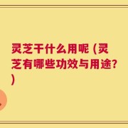 灵芝干什么用呢 (灵芝有哪些功效与用途？)