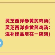 灵芝西洋参黄芪鸡汤(灵芝西洋参黄芪鸡汤：滋补佳品尽在一碗汤)