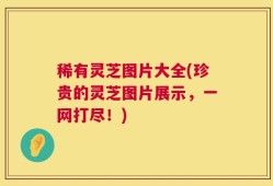 稀有灵芝图片大全(珍贵的灵芝图片展示，一网打尽！)