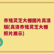 养殖灵芝大棚图片高清版(高清养殖灵芝大棚照片展示)