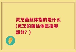 灵芝菌丝体指的是什么(灵芝的菌丝体是指哪部分？)