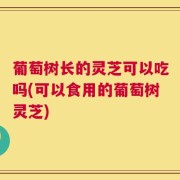 葡萄树长的灵芝可以吃吗(可以食用的葡萄树灵芝)