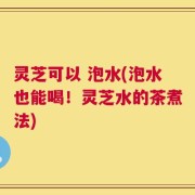 灵芝可以 泡水(泡水也能喝！灵芝水的茶煮法)