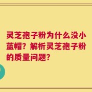 灵芝孢子粉为什么没小蓝帽？解析灵芝孢子粉的质量问题？