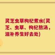 灵芝虫草枸杞煮水(灵芝、虫草、枸杞熬汤，滋补养生好去处)