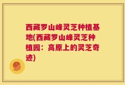 西藏罗山峰灵芝种植基地(西藏罗山峰灵芝种植园：高原上的灵芝奇迹)
