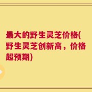 最大的野生灵芝价格(野生灵芝创新高，价格超预期)