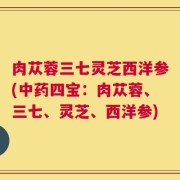 肉苁蓉三七灵芝西洋参(中药四宝：肉苁蓉、三七、灵芝、西洋参)