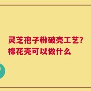 灵芝孢子粉破壳工艺？棉花壳可以做什么