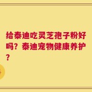给泰迪吃灵芝孢子粉好吗？泰迪宠物健康养护？