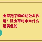 虫草孢子粉的功效与作用？洗虫草时水为什么是黄色的