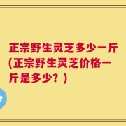 正宗野生灵芝多少一斤(正宗野生灵芝价格一斤是多少？)