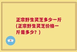 正宗野生灵芝多少一斤(正宗野生灵芝价格一斤是多少？)