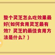 整个灵芝怎么吃效果最好(如何食用灵芝最有效？灵芝的最佳食用方法是什么？)