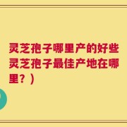 灵芝孢子哪里产的好些灵芝孢子最佳产地在哪里？)