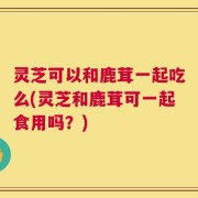 灵芝可以和鹿茸一起吃么(灵芝和鹿茸可一起食用吗？)