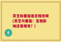灵芝和番茄是否相克呢(灵芝与番茄：互相影响还是相克？)
