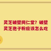 灵芝破壁同仁堂？破壁灵芝孢子粉应该怎么吃