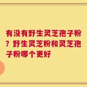 有没有野生灵芝孢子粉？野生灵芝粉和灵芝孢子粉哪个更好