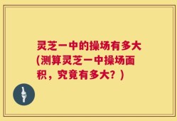 灵芝一中的操场有多大(测算灵芝一中操场面积，究竟有多大？)