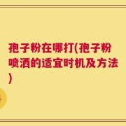 孢子粉在哪打(孢子粉喷洒的适宜时机及方法)