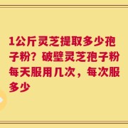 1公斤灵芝提取多少孢子粉？破壁灵芝孢子粉每天服用几次，每次服多少