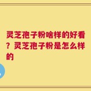 灵芝孢子粉啥样的好看？灵芝孢子粉是怎么样的