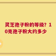 灵芝孢子粉的等级？10克孢子粉大约多少