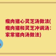 瘦肉猪心灵芝汤做法(瘦肉猪和灵芝冲调汤：家常猪肉汤做法)
