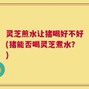 灵芝煎水让猪喝好不好(猪能否喝灵芝煮水？)