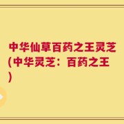 中华仙草百药之王灵芝(中华灵芝：百药之王)