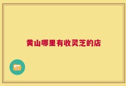 黄山哪里有收灵芝的店