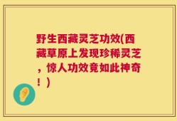 野生西藏灵芝功效(西藏草原上发现珍稀灵芝，惊人功效竟如此神奇！)