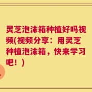 灵芝泡沫箱种植好吗视频(视频分享：用灵芝种植泡沫箱，快来学习吧！)
