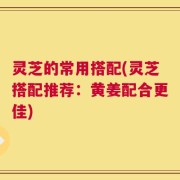 灵芝的常用搭配(灵芝搭配推荐：黄姜配合更佳)