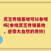 灵芝养殖基地可以参观吗(参观灵芝养殖基地，感受大自然的奇妙)
