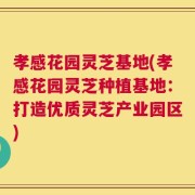孝感花园灵芝基地(孝感花园灵芝种植基地：打造优质灵芝产业园区)