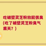 吃破壁灵芝粉放屁很臭(吃了破壁灵芝粉臭气熏天？)