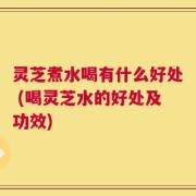 灵芝煮水喝有什么好处 (喝灵芝水的好处及功效)