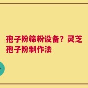 孢子粉筛粉设备？灵芝孢子粉制作法