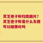 灵芝孢子粉归类图片？灵芝孢子粉是什么东西可以随便吃吗
