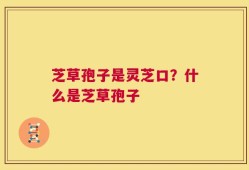 芝草孢子是灵芝口？什么是芝草孢子